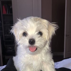 Meet your Posher, Jenna